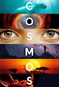 Cosmos (2014)